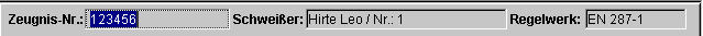 Programm-Icon